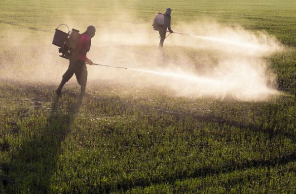 STF adia julgamento de ação contra incentivos fiscais aos agrotóxicos