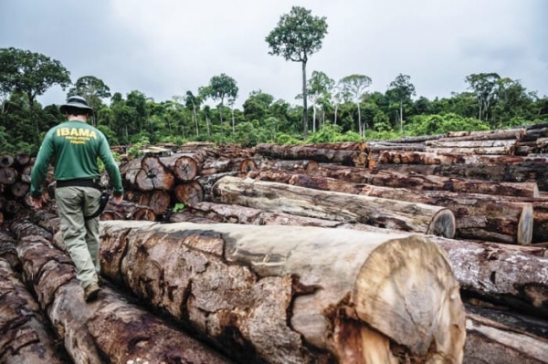 O projeto aprovado no Senado ameaça o meio ambiente e também a economia brasileira, com perda de investimentos externos para programas sustentáveis 